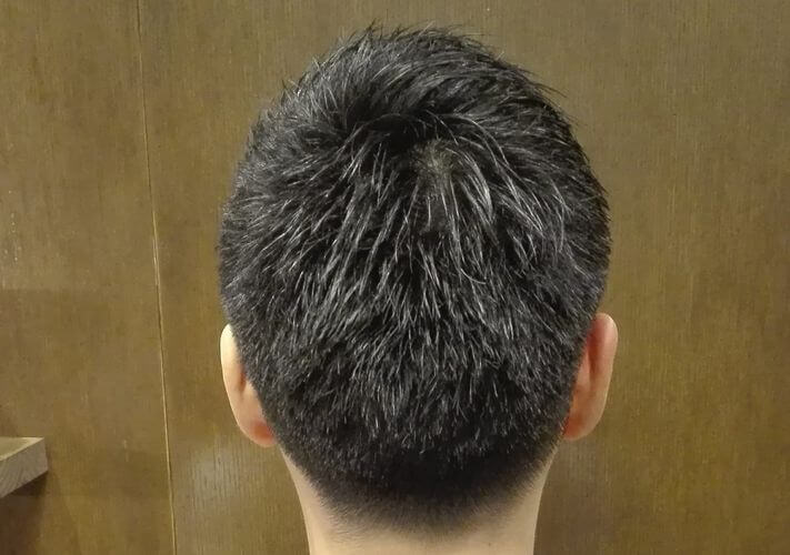 剛毛の髪